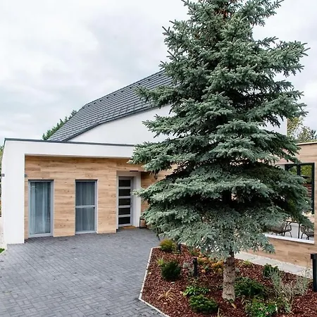 Estelle - Pool, Jacuzzi, Sauna - Balaton Villa Balatonkenese